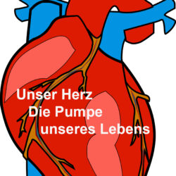 Unser Herz – unser Leben