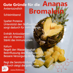 Ananas – Gesundheit pur