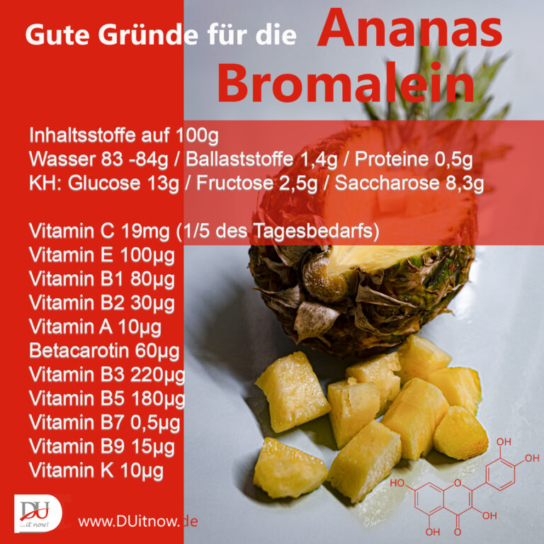 Ananas Gesundheit pur DuItNow Gesundheit, Bewegung, Ernährung // Nürnberg und Bayreuth